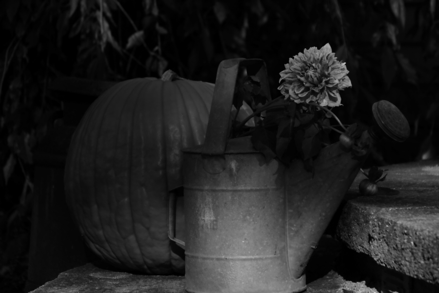 2011 10 22 1040ebw